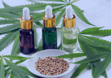 Rhode Island Active Medical Marijuana Patients in 2025.png